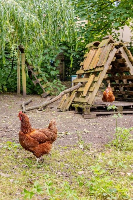 치펜햄 Cosy Cotswolds Retreat Near Bath & Castle Combe 아파트 외부 사진
